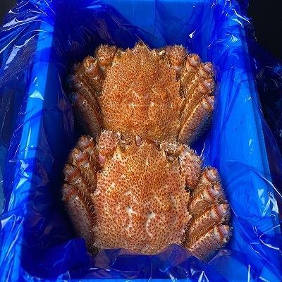 ふるさと納税 根室市 ＜12/21まで年内配送＞＜計800前後＞★毛がに400g前後×2尾 B-21003 |  | 03