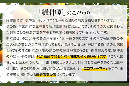 『緑伸園』の不知火・肥の豊 約5kg あのデコポンと同品種《12月中旬-1月下旬出荷》