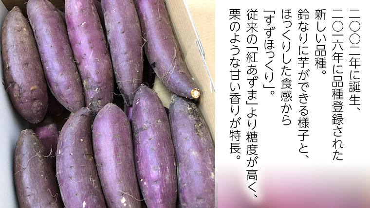 さつまいも 「 すずほっくり 」 5kg 旬 甘い 芋 いも サツマイモ スイーツ 野菜[AM066us]