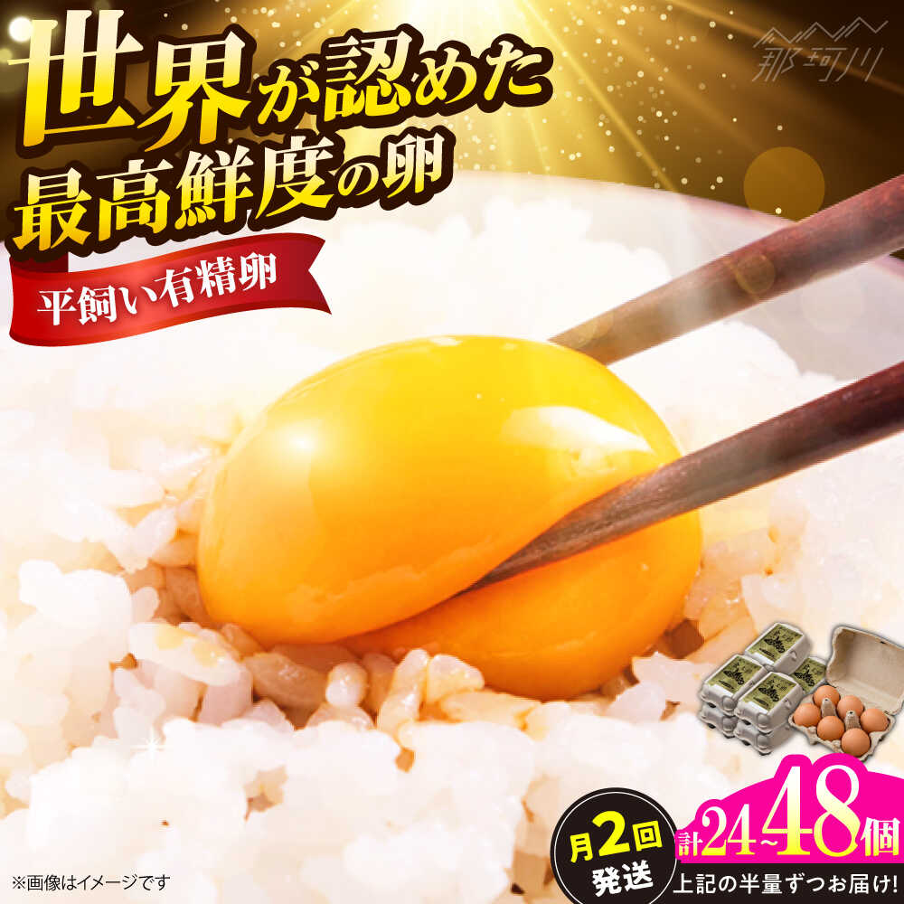 【ふるさと納税】＼月2回発送／【選べる容量】【TVで紹介！鮮度AA級の世界最高ランク！】金太郎卵 計24～48個(月2回お届け) たまご 割れ保証付き 平飼い 赤卵 新鮮 卵人気 新鮮 たまご ＜有限会社フジノ香花園＞那珂川市 |[GAM036]