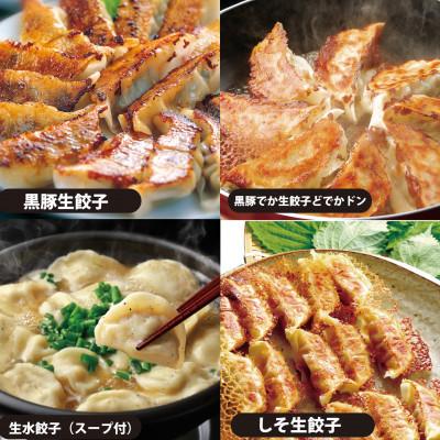 ふるさと納税 八代市 八代市東陽町の生姜を使った餃子の王国　餃子8種　詰合せ |  | 01