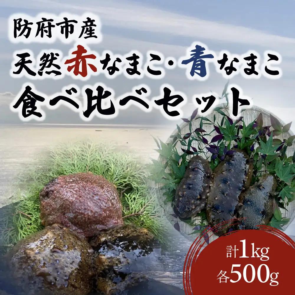 防府市産天然赤なまこ青なまこ食べ比べセット 凪翔政栄丸 山口県 防府市 A-E62 なまこ ナマコ 食べ比べ 活き 赤青セット 瀬戸内海 珍味 このわた おつまみ 刺身