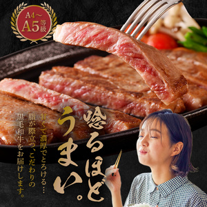 S001-022-T06_【定期便6回】A4～A5等級 黒毛和牛 サーロインステーキ 1枚（300g）たれ1本付