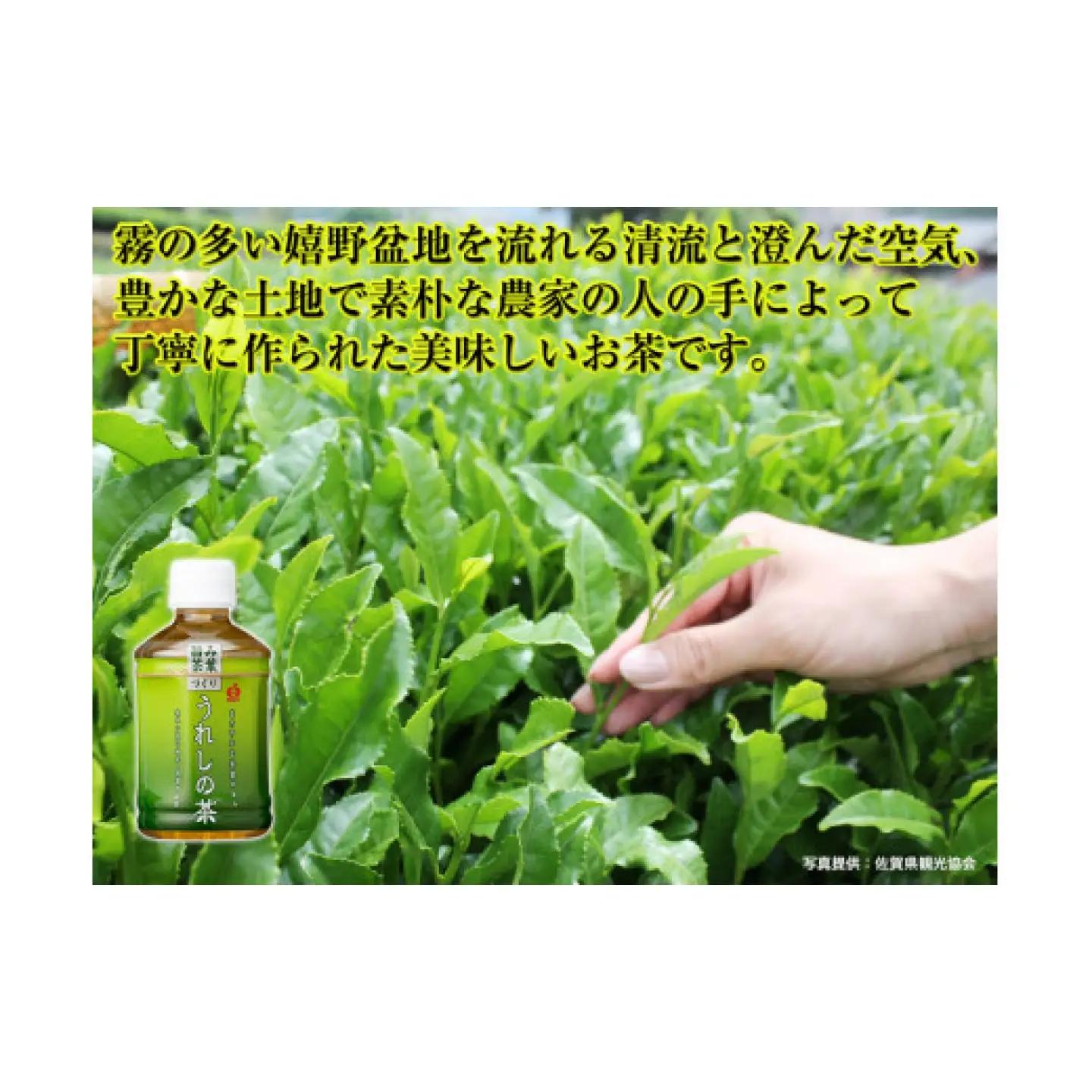 うれしの茶 280ml×24本入×2ケース / お茶 緑茶 嬉野茶 ペットボトル / 佐賀県 / さが風土館季楽[41AABE107]