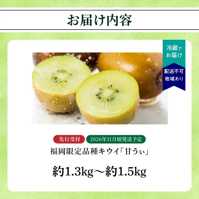 【先行受付：2026年11月頃発送開始】福岡限定品種キウイ「甘うぃ」約1.3～1.5kg <配送不可地域：北海道・沖縄・離島> 先行受付 キウイ キウイフルーツ フルーツ 果物 くだもの 甘い 高糖度