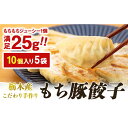 【ふるさと納税】栃木産こだわり手作りもち豚餃子 | 食品 冷凍食品 惣菜 餃子 手作り 国産