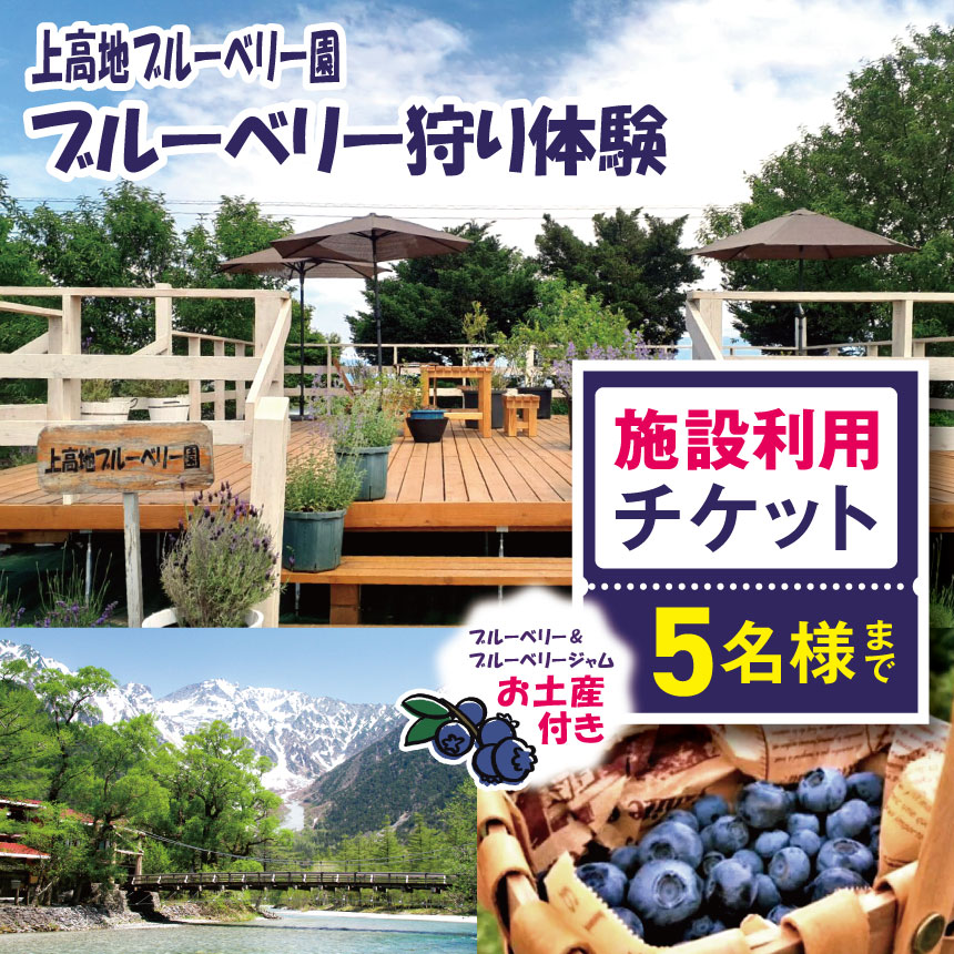 【ふるさと納税】上高地ブルーベリー園　ブルーベリー狩り体験、施設利用チケット 5名様まで （ブルーベリーお土産付き）│信州 贈答用 ブルーベリー 新鮮 加工品 甘い 美味しい 特別 松本 ふるさと納税 上高地 ブルーベリー狩り