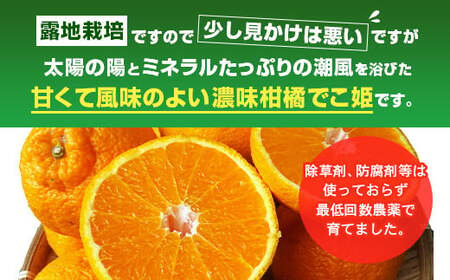 【先行受付】訳あり 不知火 でこ姫 約5kg（約18～25玉）【吉田レモニー】【2025年4月上旬～2025年5月下旬発送】しらぬい 柑橘 フルーツ 果物