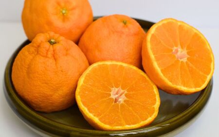 不知火 みかん 蜜柑 デコポン 柑橘 フルーツ 果物 / たにぐち農園の完熟不知火 5kg【2025年2月中旬から3月下旬までに順次発送】【mtn011A】