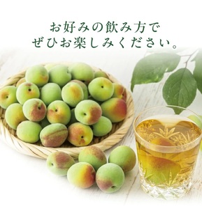 SA2430　酒田の酒屋厳選　上喜元 うめしゅ　720ml×2本