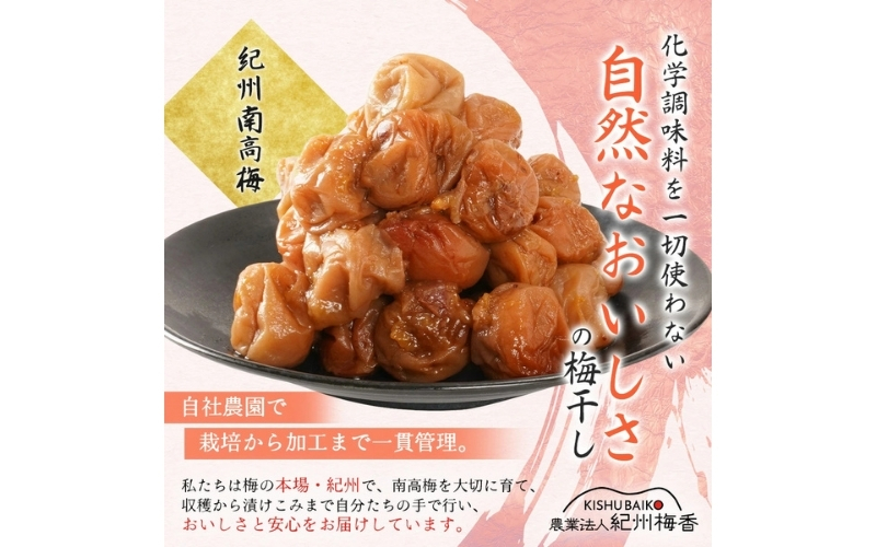梅干し 減農薬 無添加の訳あり減塩つぶれ梅1kg（500×2）塩分3％ / ワケあり 訳あり つぶれ つぶれ梅 中粒 梅干 うめぼし 南高梅 減塩 塩分控えめ 【baiko002A】