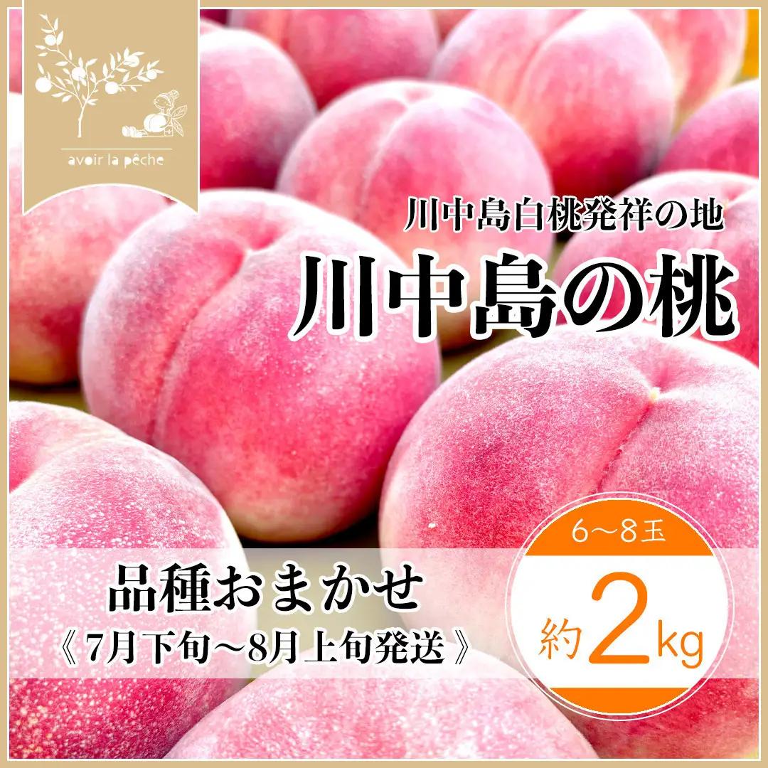 すーさんの果樹屋　【先行予約】川中島の桃 約2kg 品種おまかせ  7月下旬～8月上旬発送予定 |桃 フルーツ