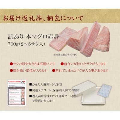 ふるさと納税 いわき市 【2ヵ月毎定期便】本マグロ訳あり赤身 真空包装 [700g(2〜5サク)]全3回 |  | 01