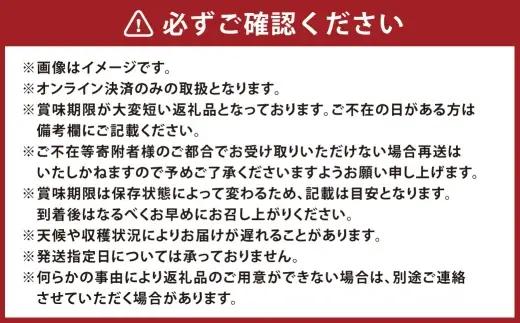 訳あり 木熟ぶどう ハレノシャイン シャインマスカット 晴王 2房 合計約1.1kg 果物 くだもの 果実 フルーツ 果汁 ぶどう 葡萄 ブドウ マスカット 皮ごと 国産 岡山県産 冷蔵 【 2026