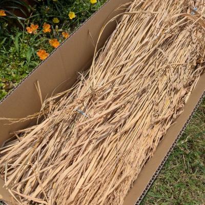ふるさと納税 南あわじ市 自然乾燥の稲わら(4束) |  | 01