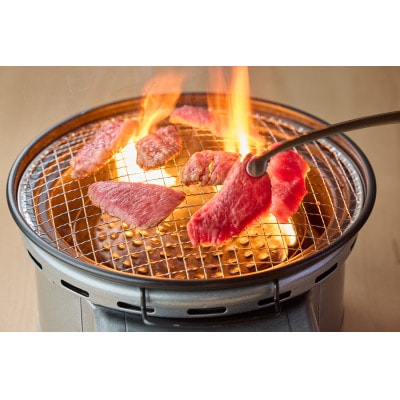 神戸牛焼肉4種盛 360g【FSN02山晃食品】【配送不可地域：離島】