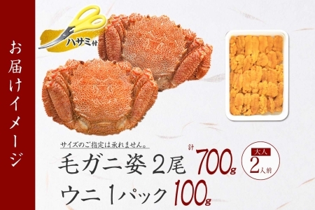 3418. 毛蟹 2尾 計700g前後 うに チリ産 冷凍 100g 専用ハサミ・食べ方ガイド付き 毛ガニ 毛がに 蟹 カニ かに 蟹肉 カニ味噌  ウニ 雲丹 海鮮 ボイル 北海道 弟子屈町