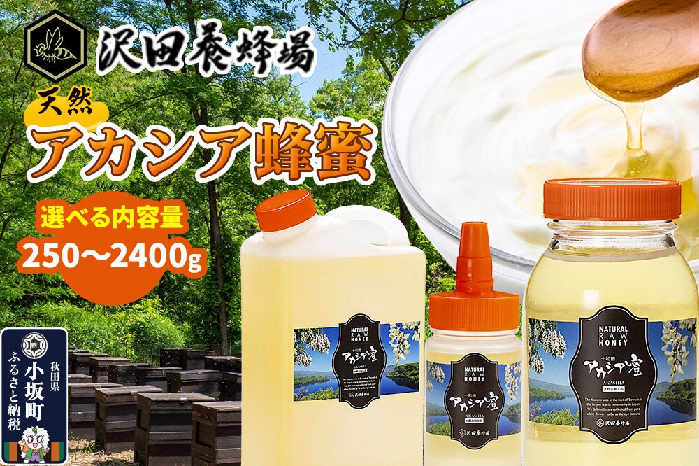 
                  《先行受付》【新蜜】はちみつ 天然十和田 アカシア蜂蜜 【選べる内容量 250g／500g／1200g ビン・ポリ缶／2400g ビン・ポリ缶】 [新蜜 国産 蜂蜜 はちみつ ハチミツ アカシア 朝食 沢田養蜂場]
                