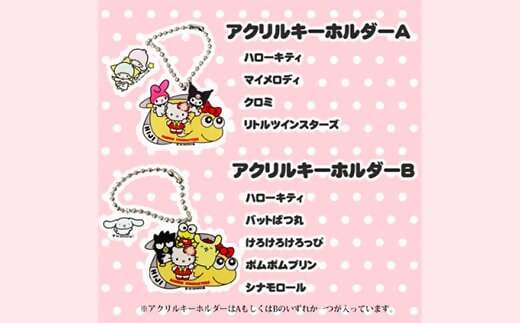 ＜数量限定＞サンリオキャラクターズ勢ぞろい!宝かれいセット