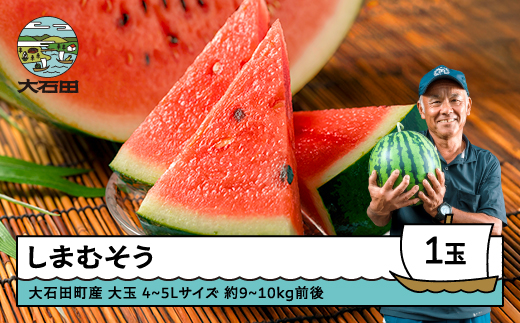 
                  大玉すいか しまむそう 4〜5Lサイズ×1玉 2026年産 令和8年産 山形県産 7月中旬から順次発送 gt-susmx4
                