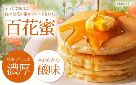 【先行予約】日本ミツバチの天然生はちみつ（百花蜜）300g【白木酒店】国産はちみつ[HAQ011]