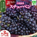 【ふるさと納税】【先行予約】令和7年産 家庭用 訳あり スチューベン 3kg 9 ～ 12房 ぶどう【9月下旬～10月下旬頃お届け】2025年産 農家直送 産地直送 令和7年 訳アリ 家庭向け 種あり ブドウ 葡萄 果物 フルーツ 観光果樹園 山形県 米沢市 秋 旬