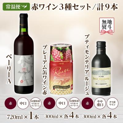 ふるさと納税 笛吹市 【熨斗】 赤ワイン 3種 9本 飲み比べ 瓶1本・缶2種8本セット モンデ酒造 山梨県 笛吹市 |  | 03