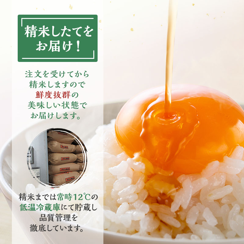 令和7年産 新米 アグリ檜山米 愛季(ちかすえ) 白米 10kg  あきたこまち  精米 お米 おこめ こめ コメ ごはん ご飯 大粒 令和7年  秋田 秋田県 能代市