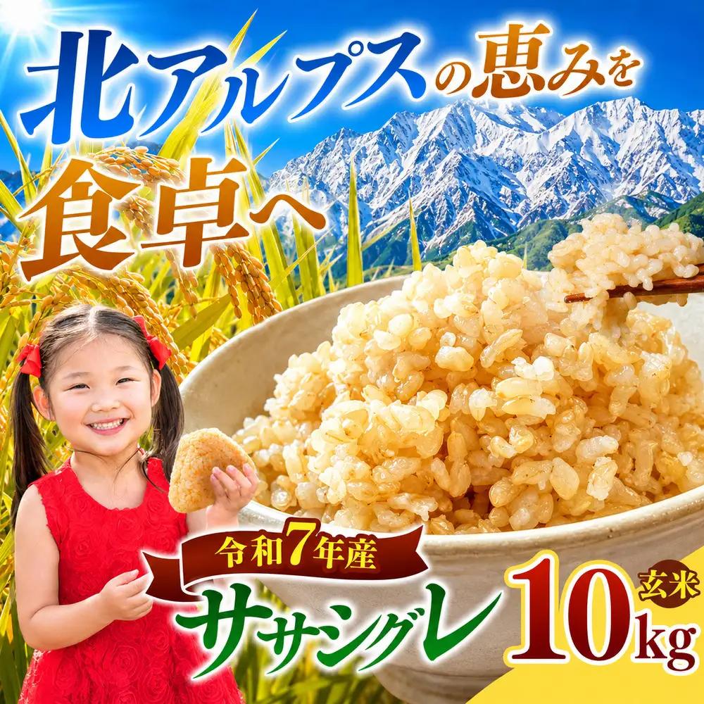 ササシグレ 玄米 約10kg | ニチカ農園