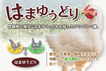安心・美味・新鮮のこだわりJAチキン［はまゆうどり］モモ・ムネセット 合計4kg 宮崎県産若鶏 チルド 冷蔵配送【B546】