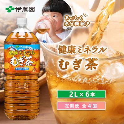 ふるさと納税 恵庭市 『定期便:全4回』健康ミネラルむぎ茶2L×6本【50000901】