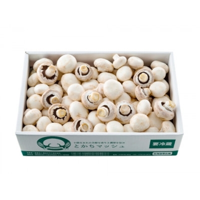
                  とかちマッシュ　ホワイト　1.5kg【1772388】
                