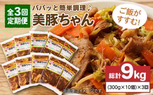 【全3回定期便】 美豚ちゃん 300g×10個 セット 【長崎フードサービス】 [PEL014] 簡単 調理 豚肉 豚 レトルト パック 小分け 国産 焼肉 加工 肉 レトルト 簡単 おかず
