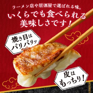 【 富士山北麓 餃子 120個 ！ こだわりつづけた無敵味！ 】 餃子 ぎょうざ 冷凍餃子 餃子 ぎょうざ 冷凍餃子 餃子 ぎょうざ 冷凍餃子 餃子 ぎょうざ 冷凍餃子 餃子 ぎょうざ 冷凍餃子 餃子