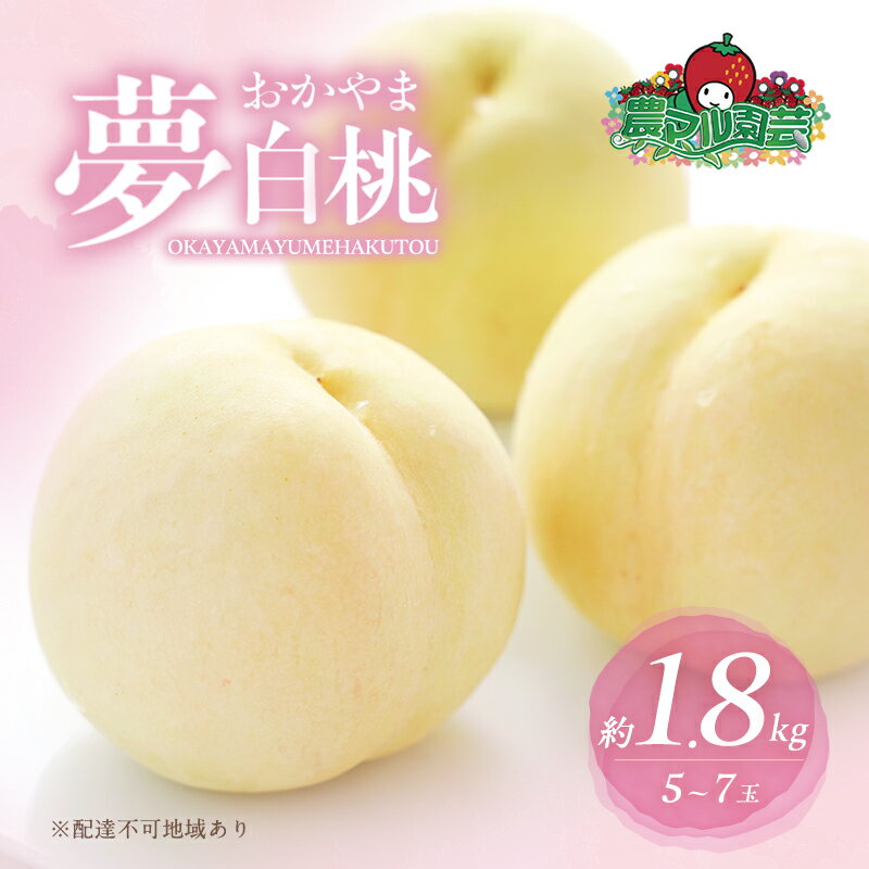 【ふるさと納税】桃 2026年 先行予約 おかやま 夢 白桃 約1.8kg 5～7玉 進物用 もも モモ フルーツ 果物 岡山 赤磐市産 農マル園芸 あかいわ農園 白鳳 家庭用 　お届け：2026年7月中旬～2026年8月下旬
