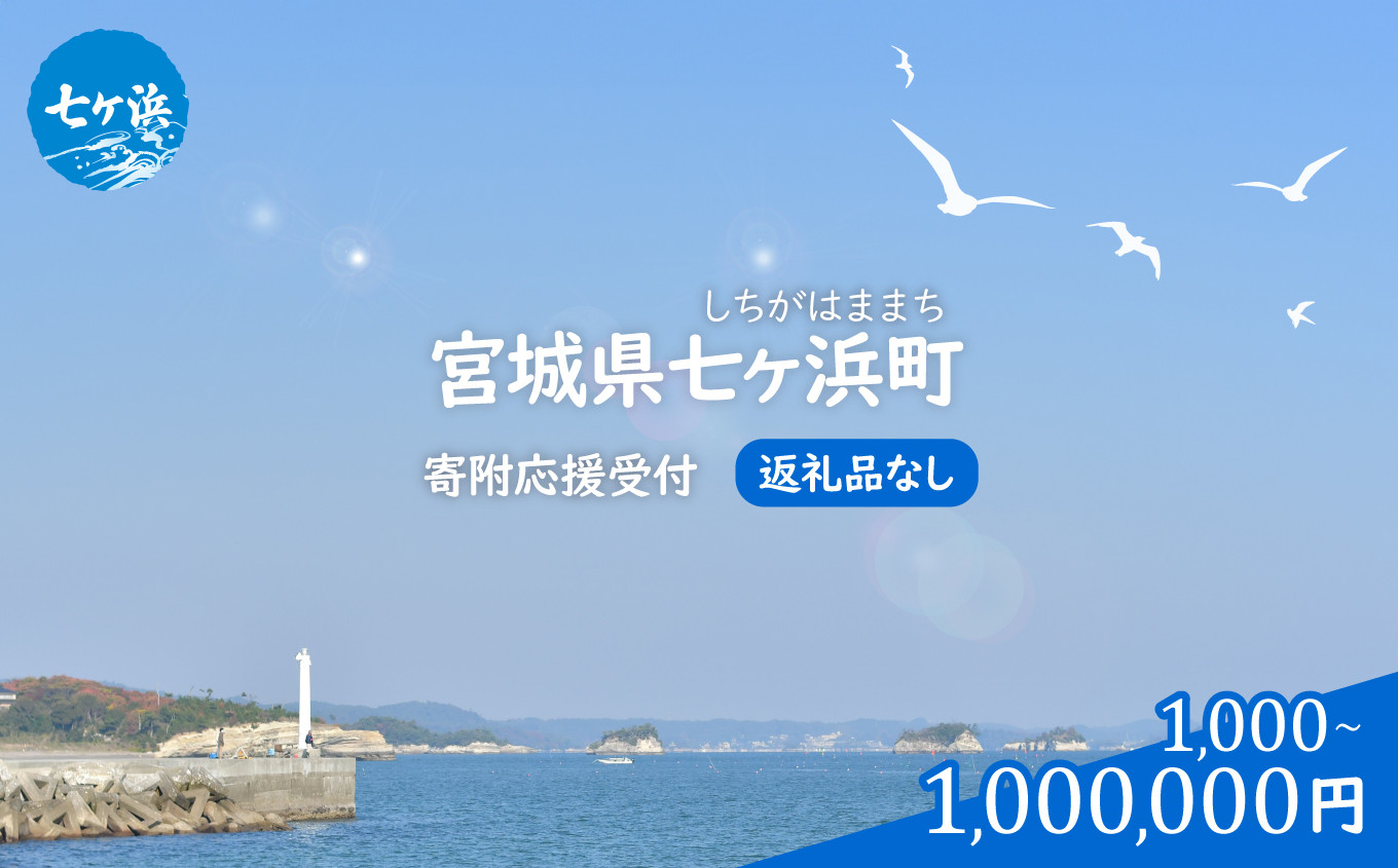 
                  宮城県 七ヶ浜町 返礼品なし 応援寄附【1,000円～1,000,000円】| 7h-hn-0000 おすすめ返礼品
                