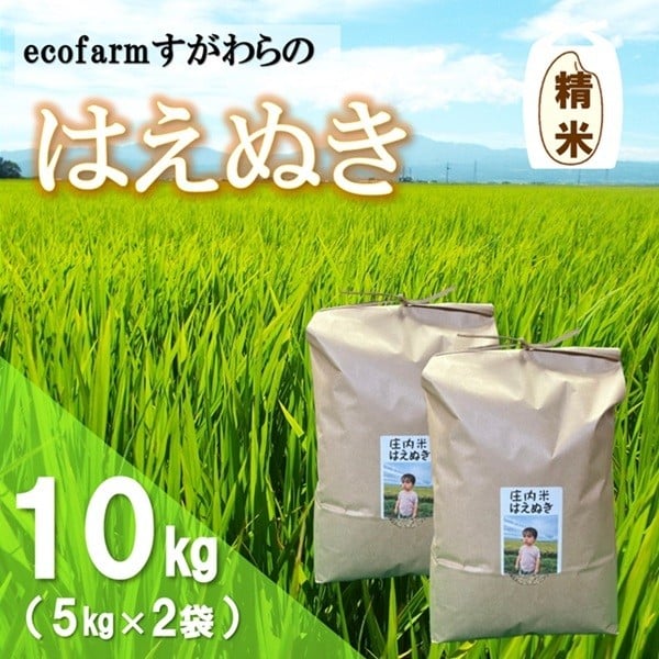 
            【令和7年産・精米】ecofarmすがわらの庄内米はえぬき10kg
          