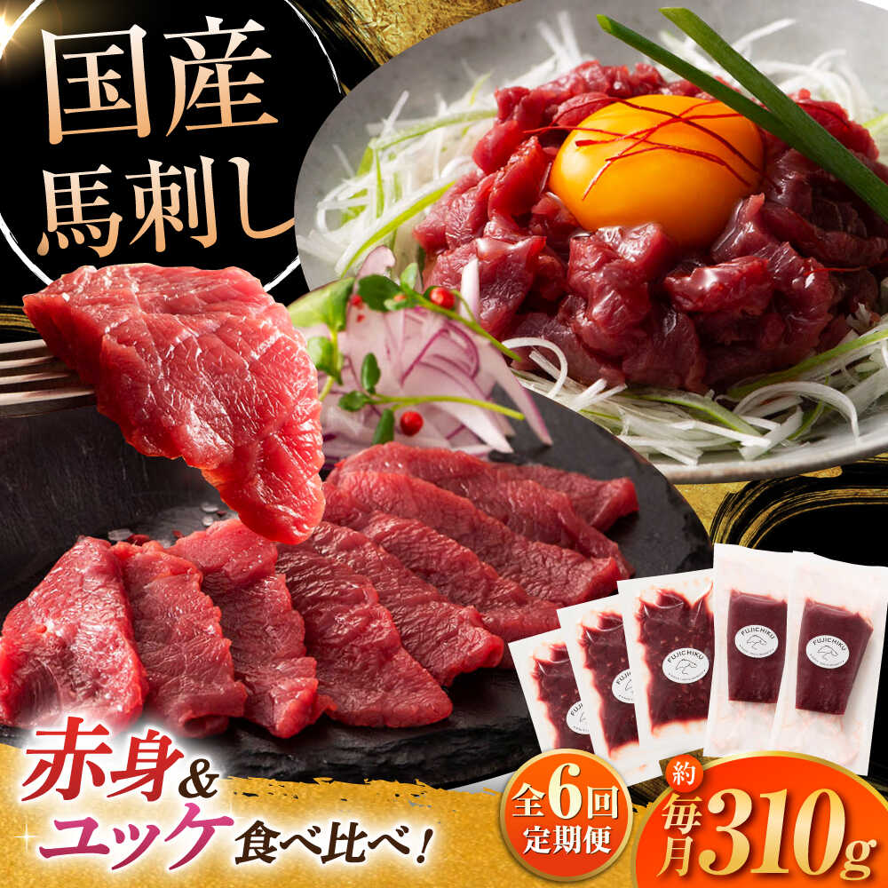 【ふるさと納税】【全6回定期便】フジチク 国産馬刺し と ユッケのセット 計約310g / 専用醤油付き ユッケのたれ 生姜付きおすすめ 熊本県 熊本 馬刺 【株式会社フジチク】[BHAD088]
