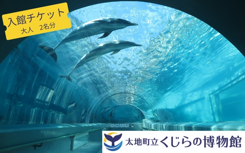 太地町立くじら博物館　入館チケット大人2名分/チケット 入館券 博物館 くじら 鯨【kzr002】