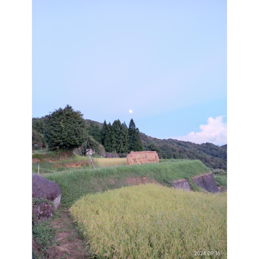 ＜霜尾共造農園＞京都　西方寺平　”棚田米”特別栽培米「コシヒカリ」5kgx2（計10kg）【3ヵ月定期便】11月開始