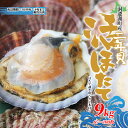 【ふるさと納税】活ほたて 2年貝 約 9kg 67枚～100枚 帆立 ホタテ ほたて 貝 魚貝 魚介 海産 海鮮 貝柱 噴火湾 刺身 焼き フライ 甘み 旨み 土産 贈り物 自宅用 生産者支援 生産者応援 北海道 洞爺湖町　【洞爺湖町】　お届け：2025年3月中旬～3月下旬まで