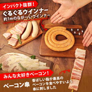 BBQセット 変わり種 4種 3～4人前 ぐるぐるウインナー ベーコン 餃子フランク 酒粕漬け 豚ロース ウインナー ベーコン串 餃子 フランクフルト 食材 串 ソーセージ 粕漬け BBQ バーベキュ