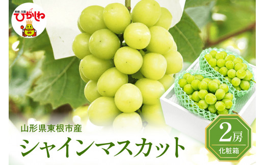 2026年ぶどう「シャインマスカット」秀品 化粧箱入り 2房(約1.2kg) 東根農産センター提供 山形県 東根市 hi027-234