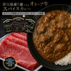 【ふるさと納税】 レトルトカレー  グルテンフリー [ 詰め合わせ カレー セット 人気 グルメ ギフト 台 地鶏 送料無料 返礼品 香川県 三豊市 讃岐罐詰株式会社 ]