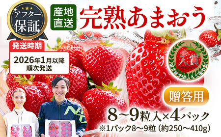 いちご あまおう アフター保証 8～9粒入り×4パック R8年1月以降順次発送 イチゴ 苺 果物