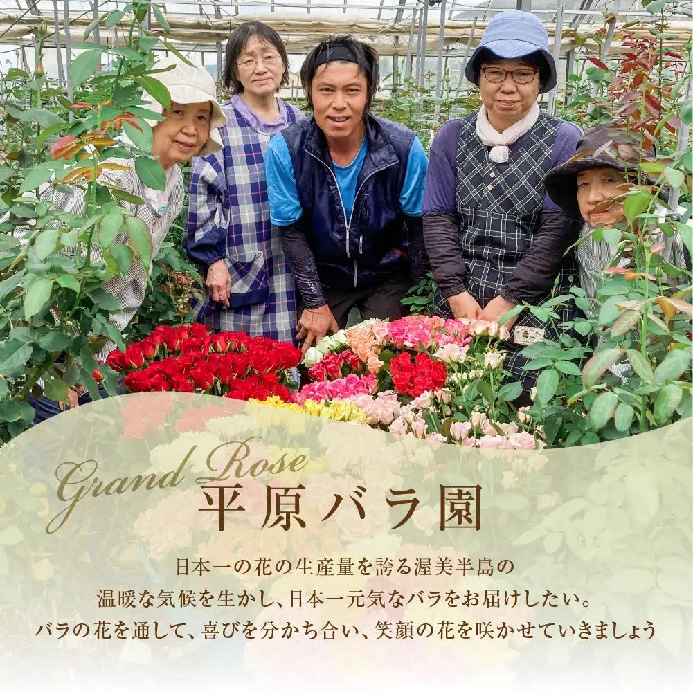 【訳あり】バラ 花束 35本 花