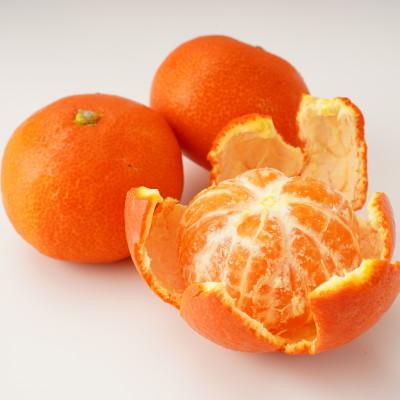 ふるさと納税 東かがわ市 【発送月固定定期便】東かがわ市 フルーツ定期便全9回