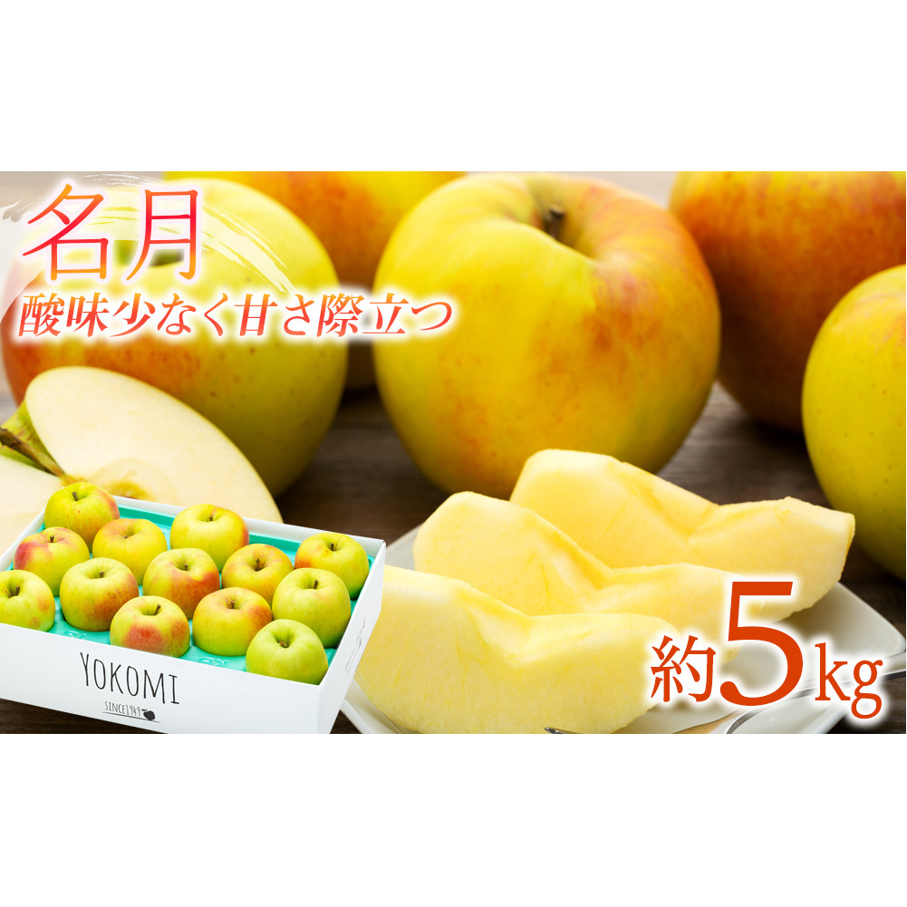  りんご 名月 5kg 2025年 令和7年発送 酸味が少なく甘さが際立つおいしいりんご 林檎 リンゴ 果物 くだもの フルーツ 旬の果物 旬のフルーツ 信州 長野 長野県 
