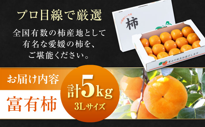 【先行予約】【11月上旬から順次発送】【期間・数量限定】愛媛県産 富有（ふゆう）柿 3Lサイズ 約5kg箱（15玉入り） かき カキ 柿 果物 フルーツ 愛媛県大洲市/愛媛たいき農業協同組合[AGAO