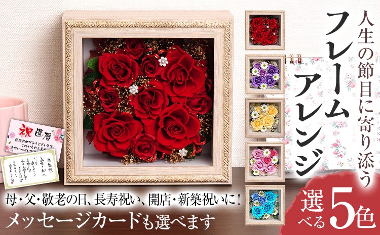 
                  フレームアレンジ 正方形 5色 メッセージカード ギフト プレゼント お祝い 母の日 父の日 敬老の日 還暦 古希 喜寿 傘寿 米寿 卒寿 長寿祝い 開店祝い 新築祝い 花 おしゃれ インテリア 贈り物 赤 紫 黄 ピンク 青
                